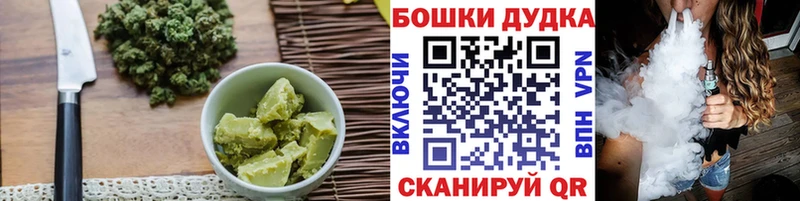 Купить где  Кимовск  Canna-Cookies конопля 