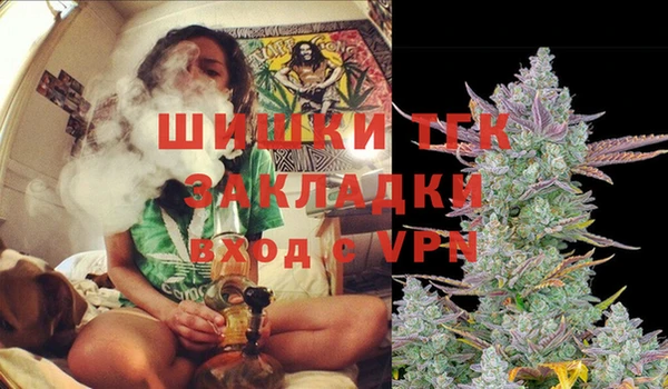 спайс Алзамай