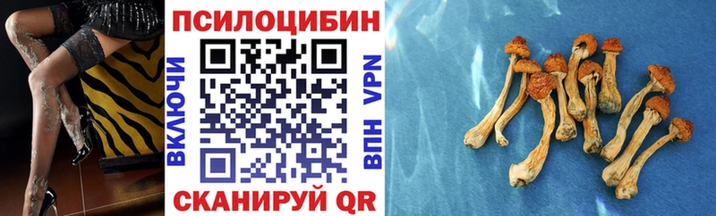 Купить  Кимовск  Псилоцибиновые грибы GOLDEN TEACHER 